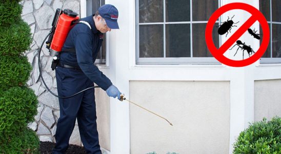 Çamlıyayla Hamam Böceği İlaçlama böcek ilaçlama ve haşere kontrolü — ilaclama-tr.com